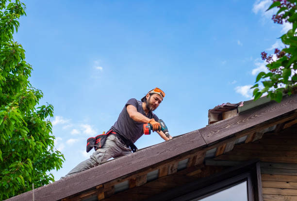 Roof Coating Services in Seffner, FL