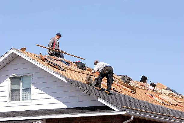 Best Gutter Installation and Repair  in Seffner, FL