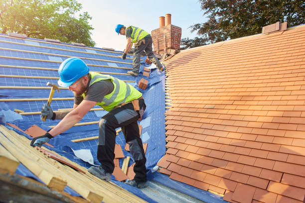 Best Sheet Metal Roofing  in Seffner, FL